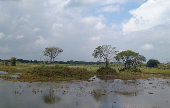 Land in Hambantota