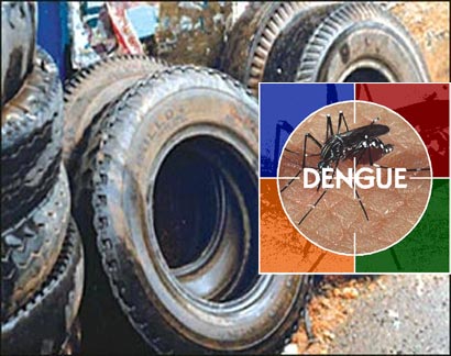 Dengue