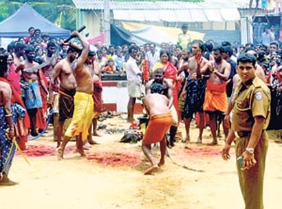 Animal Sacrifice in Muneeswaran Kovil