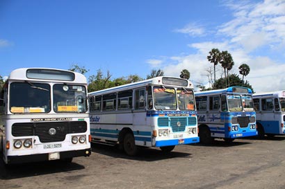 Busses in Sri Lanka