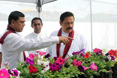 Sri Lanka president Mahinda Rajapaksa with Minister Basil Rajapaksa