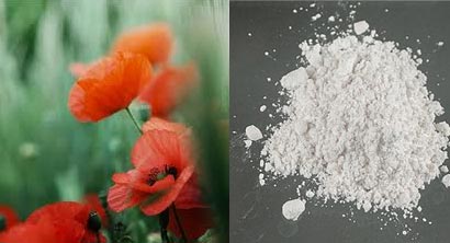 Red poppy and heroin