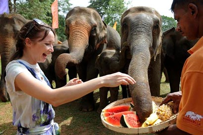 Pinnawala Elephants