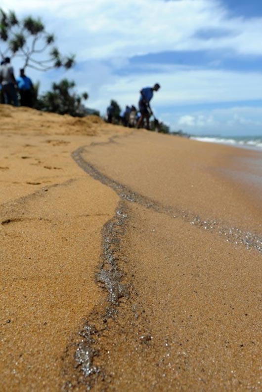 Oil slick water in Colombo sea