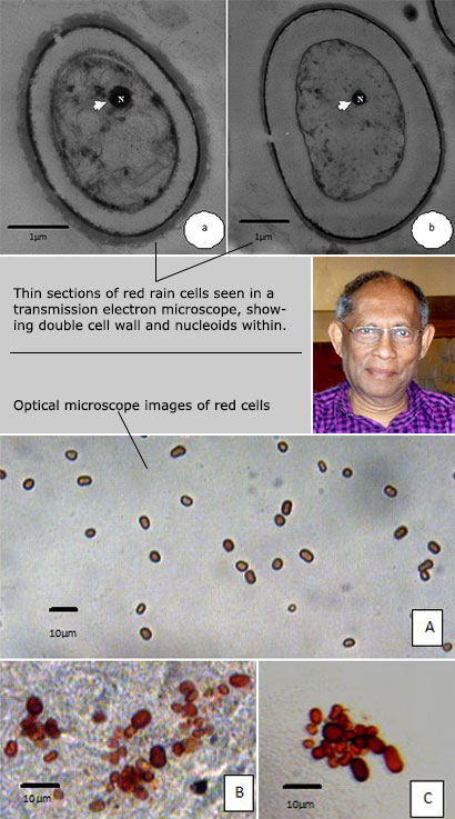 CHANDRA WICKRAMASINGHE SAYS SRI LANKA RED RAIN SIMILAR TO KERALA ONES DEFINITELY WITH COSMIC CONNECTIONS