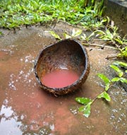 Red Rain in Sri Lanka