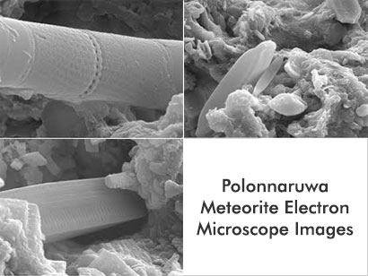 POLONNARUWA METEORITE WITH EVIDENCE OF LIFE FROM OUTER SPACE DESCRIBED THE MOST IMPORTANT FIND IN 500 YEARS