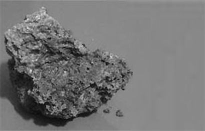 SCIENTISTS DISCOVER LIFE FROM OUTER SPACE IN A METEORITE THAT FELL NEAR POLONNARUWA