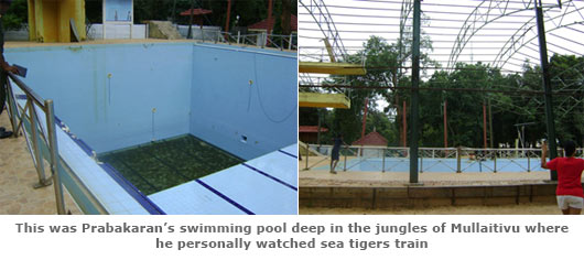 Prabhakaran's swimming pool