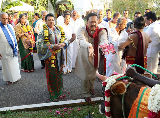 Thai Pongal festivel at Temple Trees