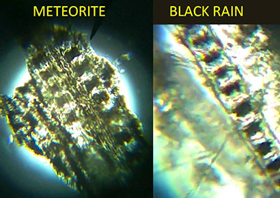 BOTH LIVE AND ANCIENT FOSSILISED DIATOMS FOUND IN TWO METEORITES THAT CRASH LANDED IN SRI LANKA SAYS CHANDRA WICKRAMASINGHE - Figure 4