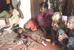 War Crimes by LTTE