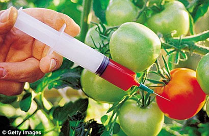 Genetically Modified Foods