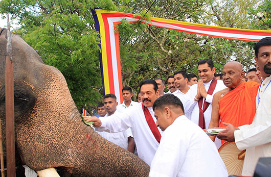 National Oil Anointing Ceremony under the patronage of President Rajapaksa