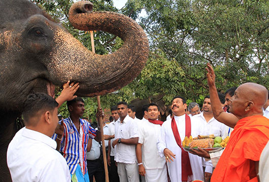 National Oil Anointing Ceremony under the patronage of President Rajapaksa