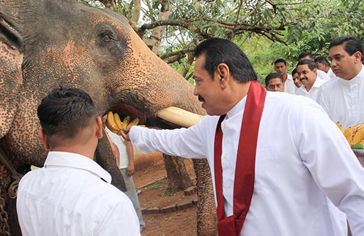 National Oil Anointing Ceremony under the patronage of President Rajapaksa