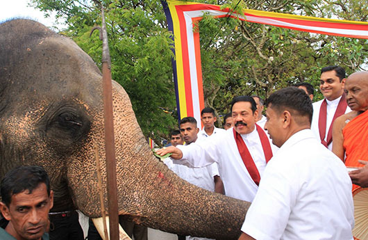 National Oil Anointing Ceremony under the patronage of President Rajapaksa