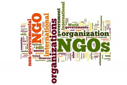 Non Government Organizations