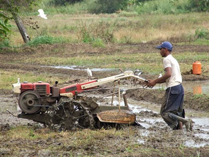 Sri Lanka Farmer