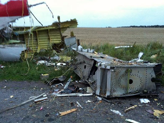 Malaysia Airlines flight MH17 Down