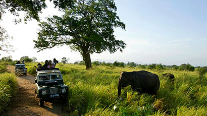 Beauty of Sri Lanka