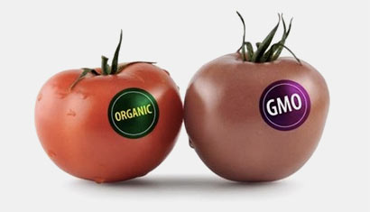 Organic Vs GMO foods