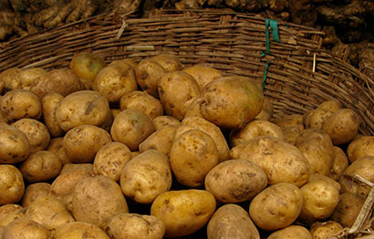 Potatoes