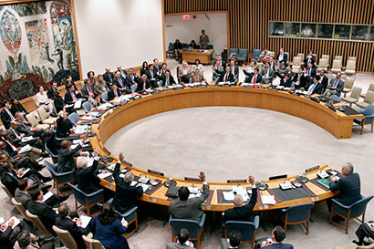 UN Security Council