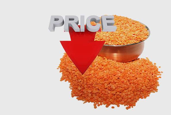 Dhal price