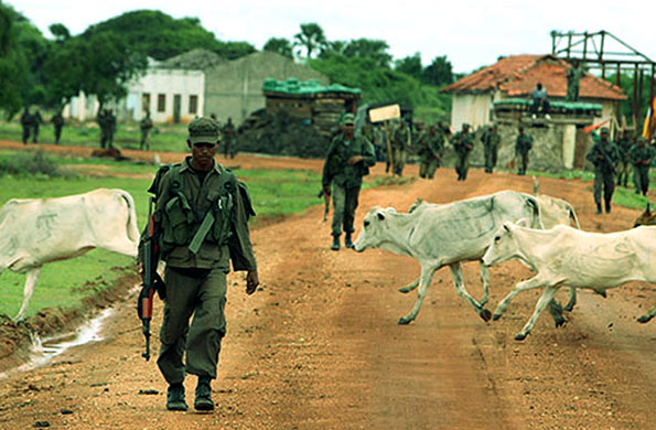 Sri Lanka Army in Jaffna