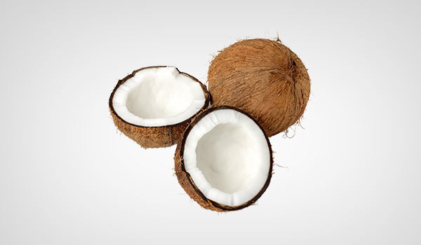 Coconut