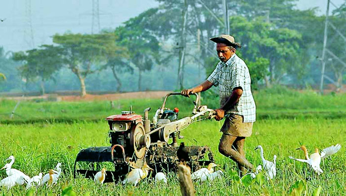 Farmer in Sri Lanka