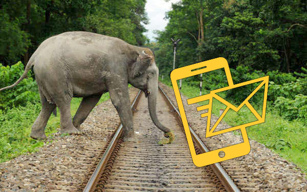 Sri Lanka railway SMS alerts to prevent elephant collisions on trains