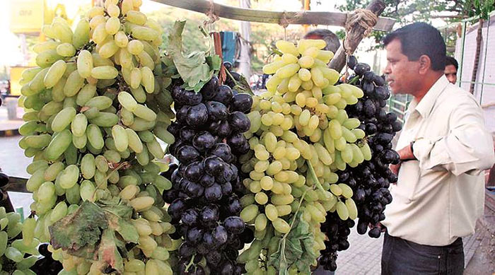 Grapes