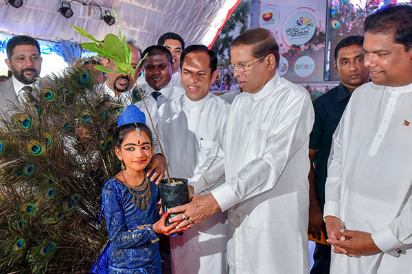 Sri Lanka President Maithripala Sirisena is planting a sapling