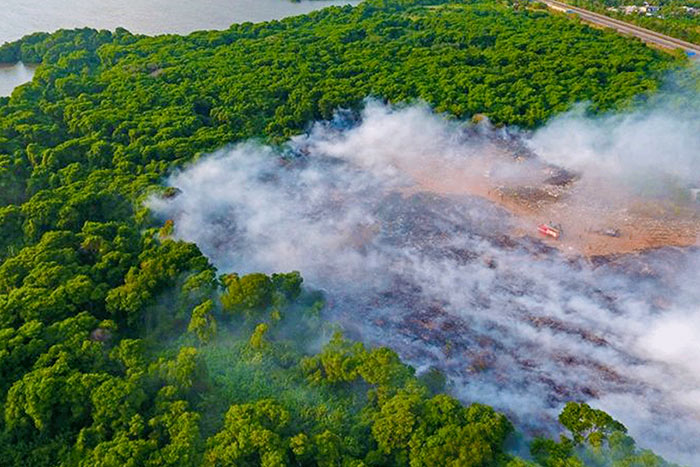 Fire in Muthurajawela reserve destroys mangroves