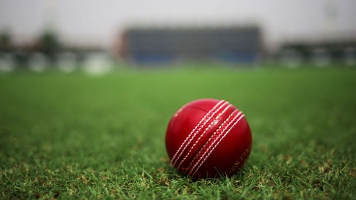 Cricket ball