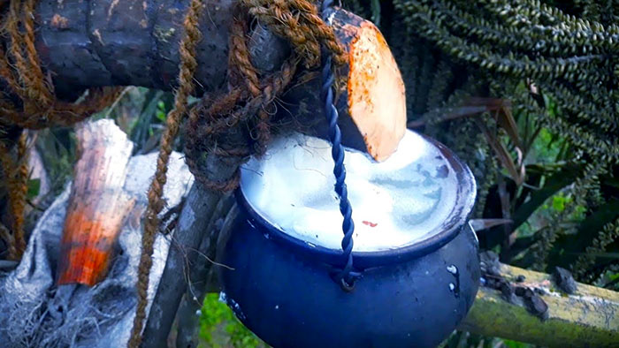 Kithul toddy tapping in Sri Lanka