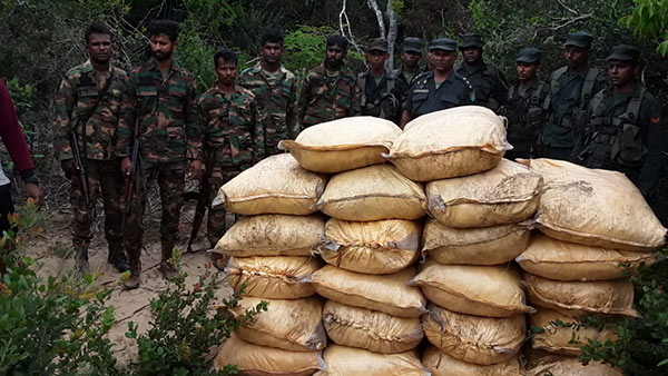 Commandos seize 946kg of smuggled turmeric in Mannar Sri Lanka