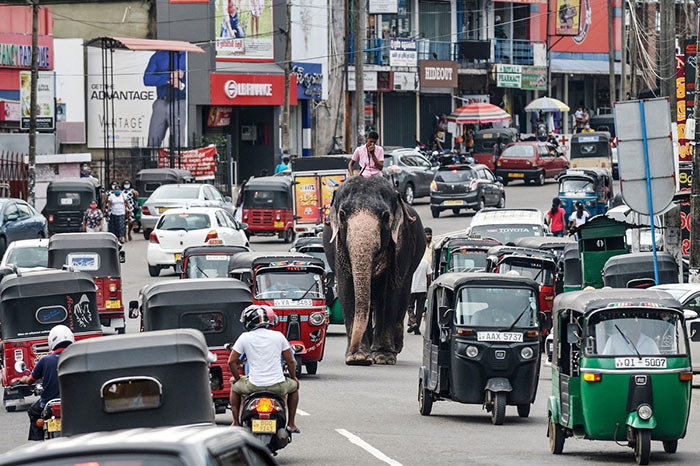 A city in Sri Lanka during the COVID-19 pandemic