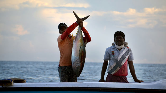 Sri Lankan fishermen