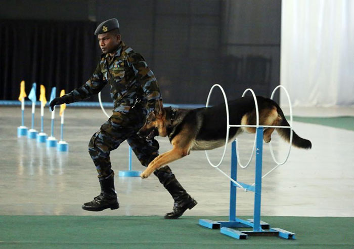 Sri Lanka Air Force sniffer dogs