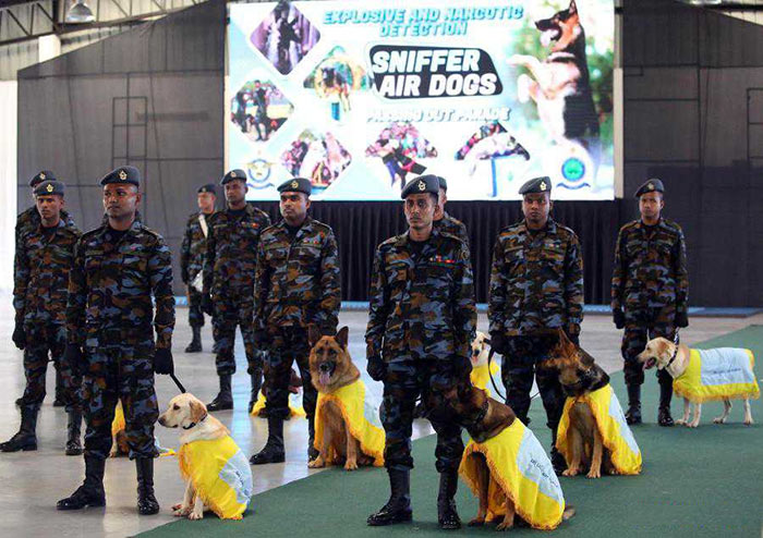 Sri Lanka Air Force sniffer dogs