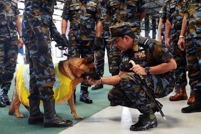 Sri Lanka Air Force sniffer dogs