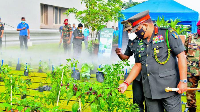 Sri Lanka Army establishes Agriculture and Livestock Corps