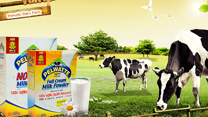 Pelwatte dairy products in Sri Lanka