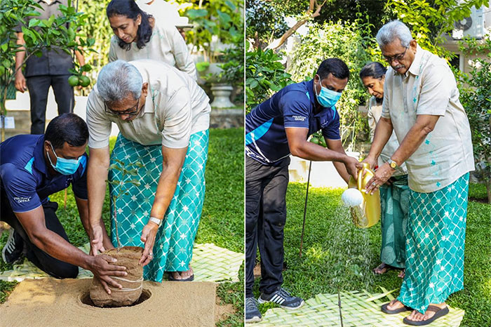 Sri Lanka President Gotabaya Rajapaksa begins work in New Year by planting sapling