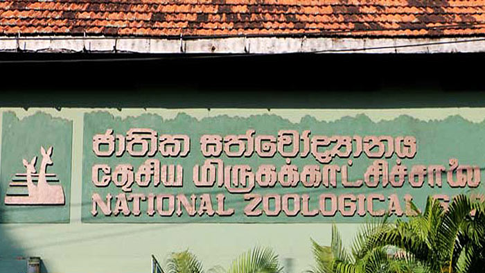 National Zoological Gardens in Sri Lanka