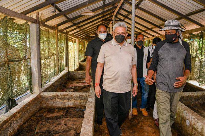 Sri Lanka President Gotabaya Rajapaksa inspecting organic fertiliser