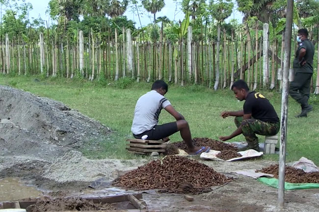 The Police Special Task Force (STF) has recovered a huge cache of ammunition from Ramya Road in Kilinochchi Sri Lanka